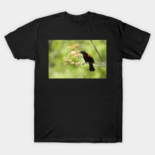 Sergeant Major T-Shirt